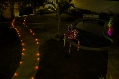night-11