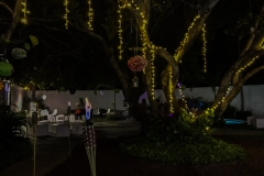 night-21