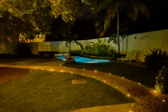 night-8